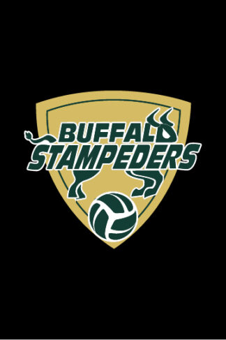 Stampeders Volleyball Decal