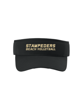 Port Authority Poly Visor