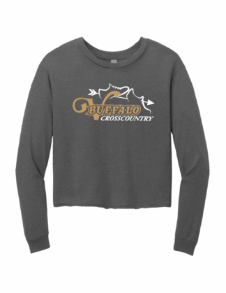 Ladies Grey Frost L/S Triblend Tee (DT141)